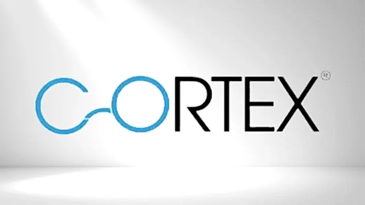 cortex